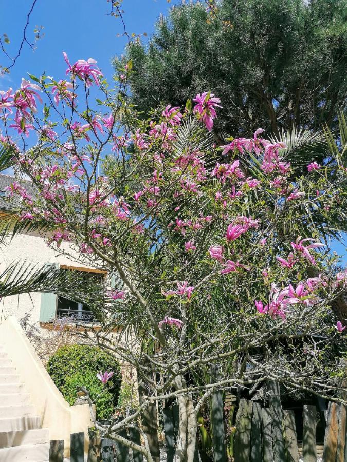 Guest House Dans Jardin Exotique Proche D'Une Voie Verte モルレー エクステリア 写真